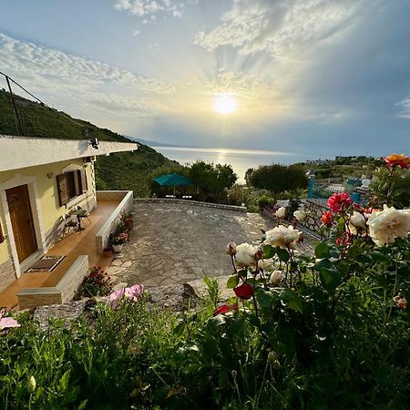 Vila Paza Saranda Extérieur photo