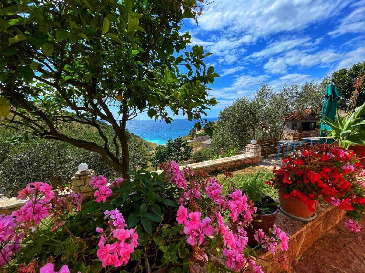 Vila Paza Saranda Extérieur photo