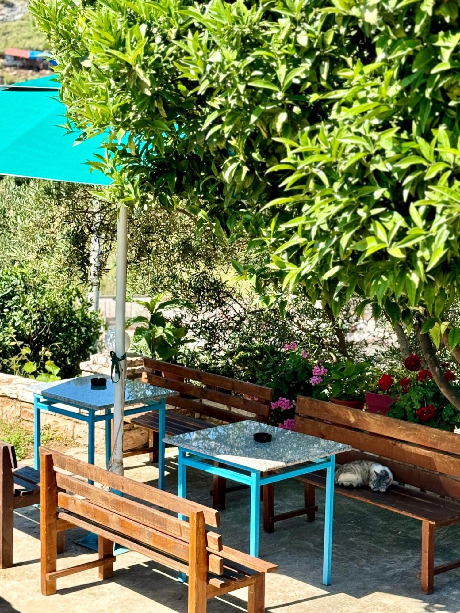 Vila Paza Saranda Extérieur photo